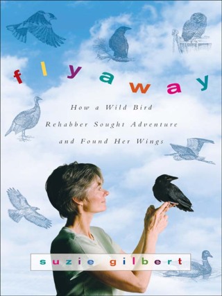 Cover image: Flyaway 9780061563133