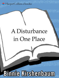 Immagine di copertina: A Disturbance in One Place 9780060520885