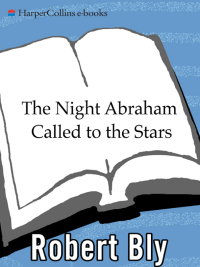 Cover image: The Night Abraham Called to the Stars 9780060934446