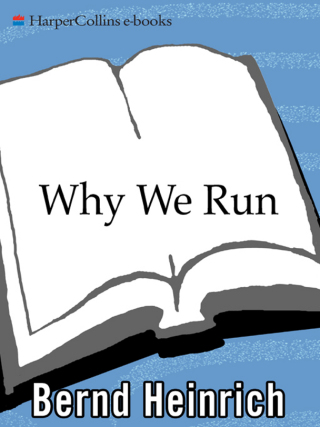 Cover image: Why We Run 9780060958701