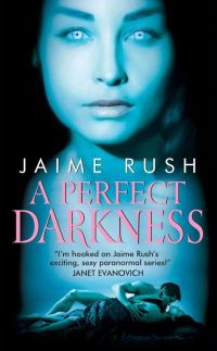 Cover image: A Perfect Darkness 9780061690358