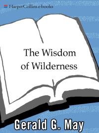 Cover image: The Wisdom of Wilderness 9780061146633