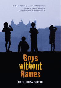Cover image: Boys Without Names 9780061857621