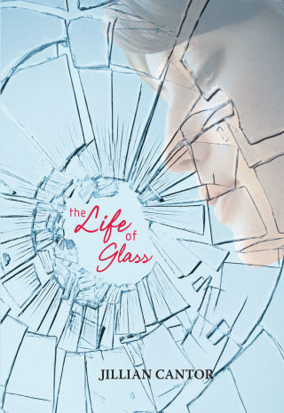 Cover image: The Life of Glass 9780061991981