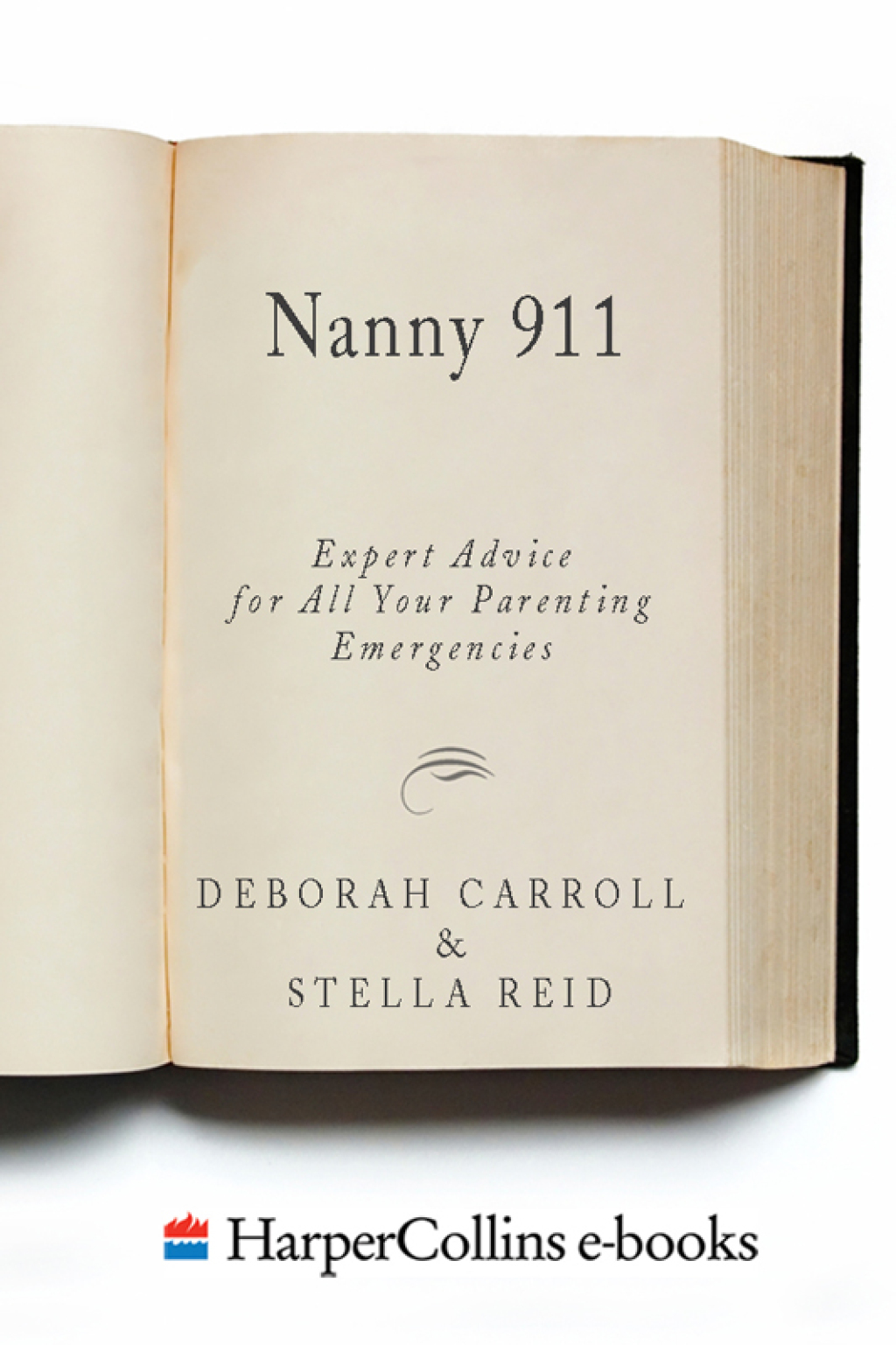 Nanny 911 eBook