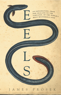 Cover image: Eels 9780060566128