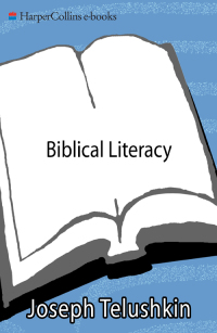 Cover image: Biblical Literacy 9780688142971