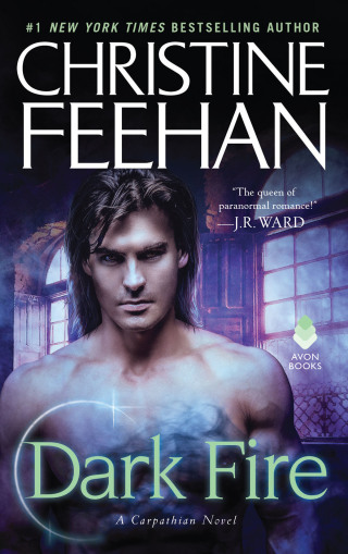Cover image: Dark Fire 9780062019455