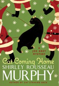 Cover image: Cat Coming Home 9780061806957