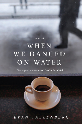 Immagine di copertina: When We Danced on Water 9780062033321