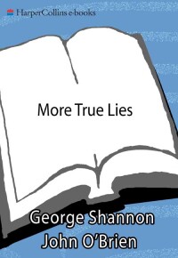 Imagen de portada: More True Lies 9780062034090