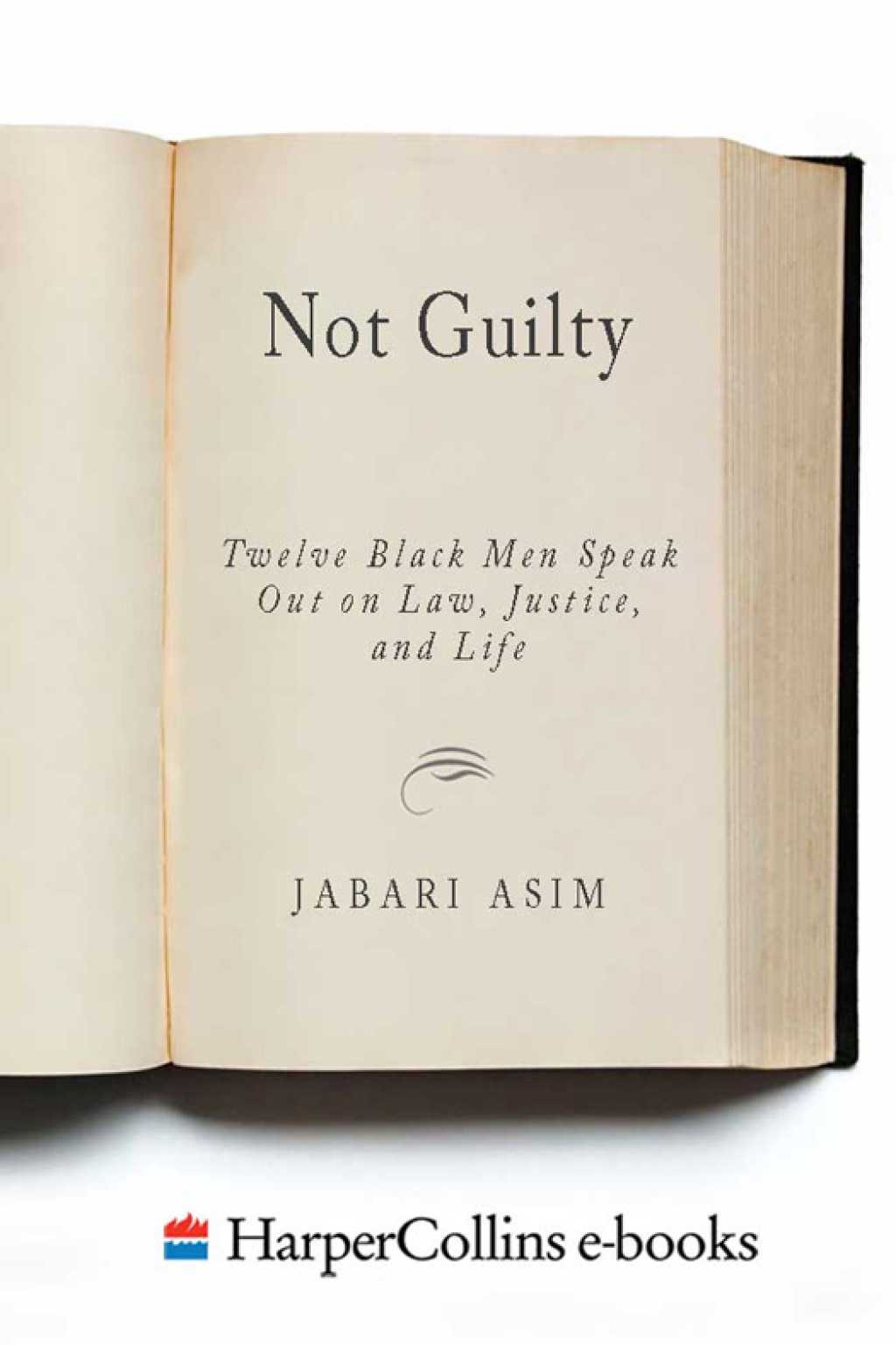 Not Guilty Twelve Black Men Speak Out on Law, Justice, and Life