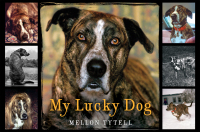 Immagine di copertina: My Lucky Dog 9780061473074