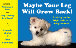 Imagen de portada: Maybe Your Leg Will Grow Back! 9780062065070