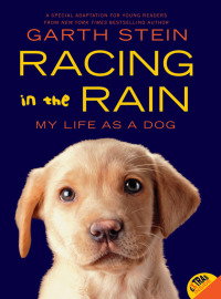 Cover image: Racing in the Rain 9780062015761