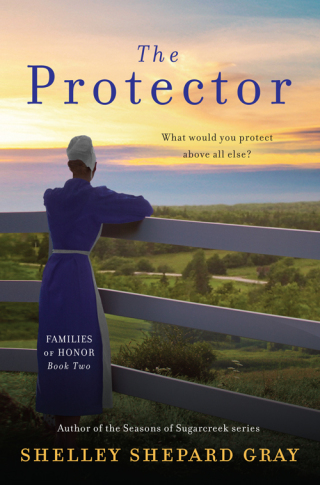 Immagine di copertina: The Protector 9780062020628