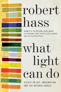 Cover image: What Light Can Do 9780061923913
