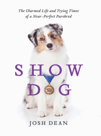 Immagine di copertina: Show Dog 9780062020499