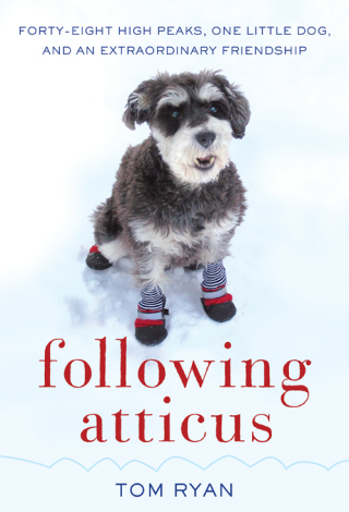 Cover image: Following Atticus 9780061997112