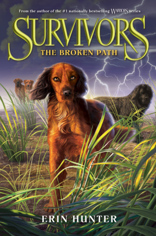 Cover image: Survivors #4: The Broken Path 9780062102706