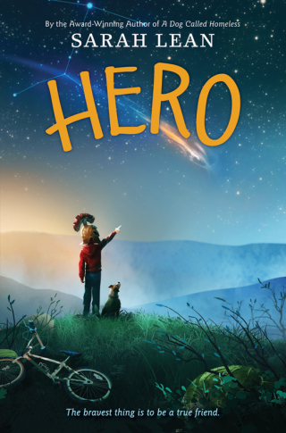 Cover image: Hero 9780062122384