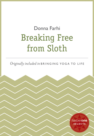 Cover image: Breaking Free from Sloth 9780062123572