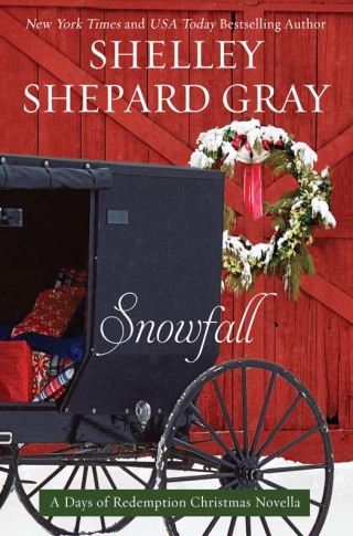 Cover image: Snowfall 9780062204547