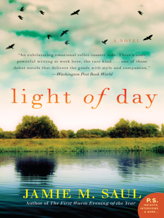 Cover image: Light of Day 9780062190932