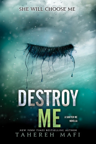 Cover image: Destroy Me 9780062208194