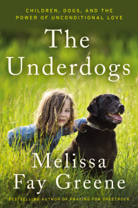 Cover image: The Underdogs 9780062218520