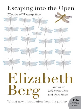 Cover image: Escaping Into the Open 9780062200440