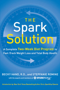 Cover image: The Spark Solution 9780062228291