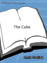 Omslagafbeelding: The Cube 9780062512666