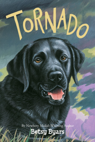 Cover image: Tornado 9780064420631