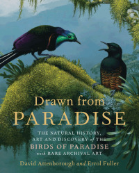 Cover image: Drawn from Paradise 9780062234681