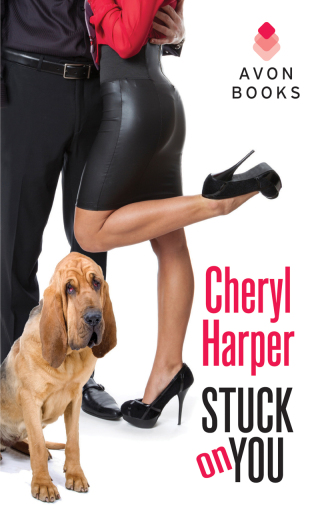 Cover image: Stuck On You 9780062276377