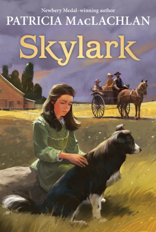 Cover image: Skylark 9780064406222