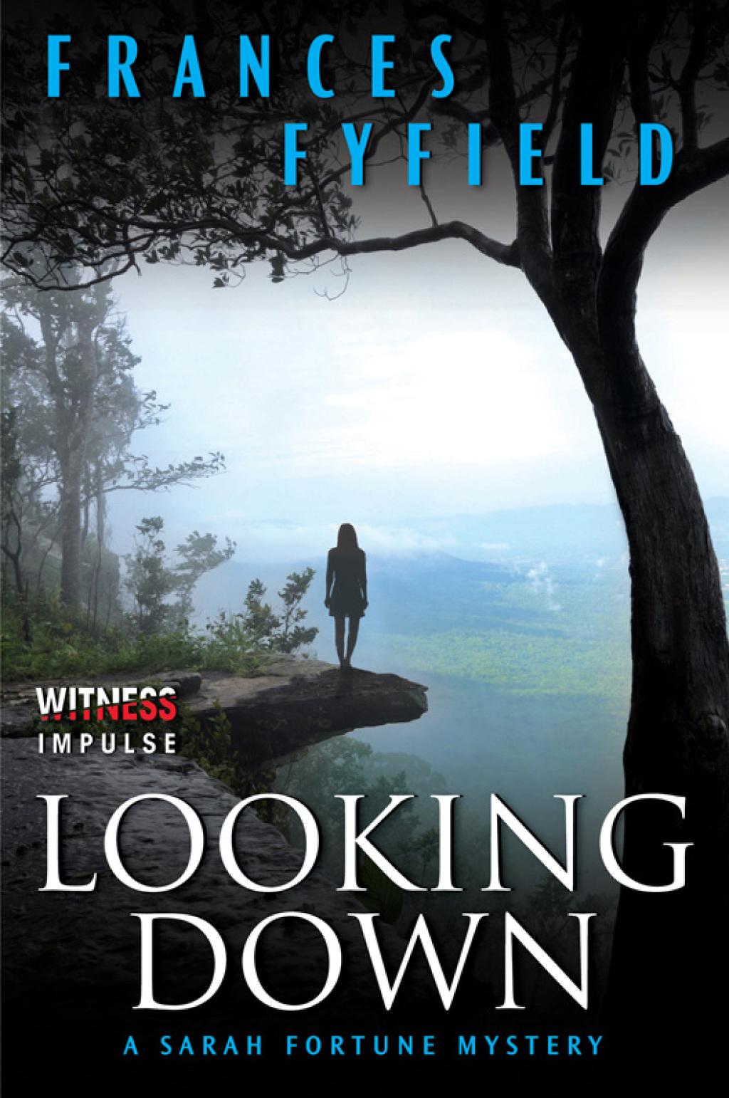 Looking Down (eBook)