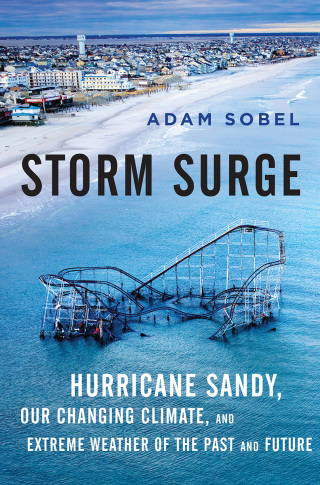表紙画像: Storm Surge 9780062304766