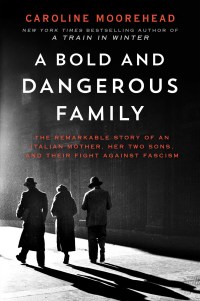 Cover image: A Bold and Dangerous Family 9780062308313