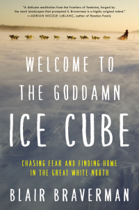 Cover image: Welcome to the Goddamn Ice Cube 9780062311573