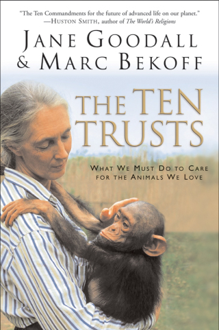 Cover image: The Ten Trusts 9780060556112