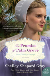 Omslagafbeelding: The Promise of Palm Grove 9780062337702