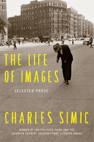 Cover image: The Life of Images 9780062364739