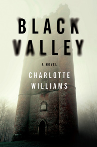 Cover image: Black Valley 9780062371263