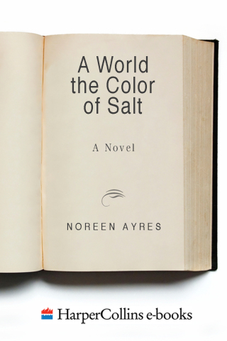 Cover image: A World the Color of Salt 9780380715718