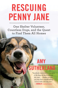 Immagine di copertina: Rescuing Penny Jane 9780062377258