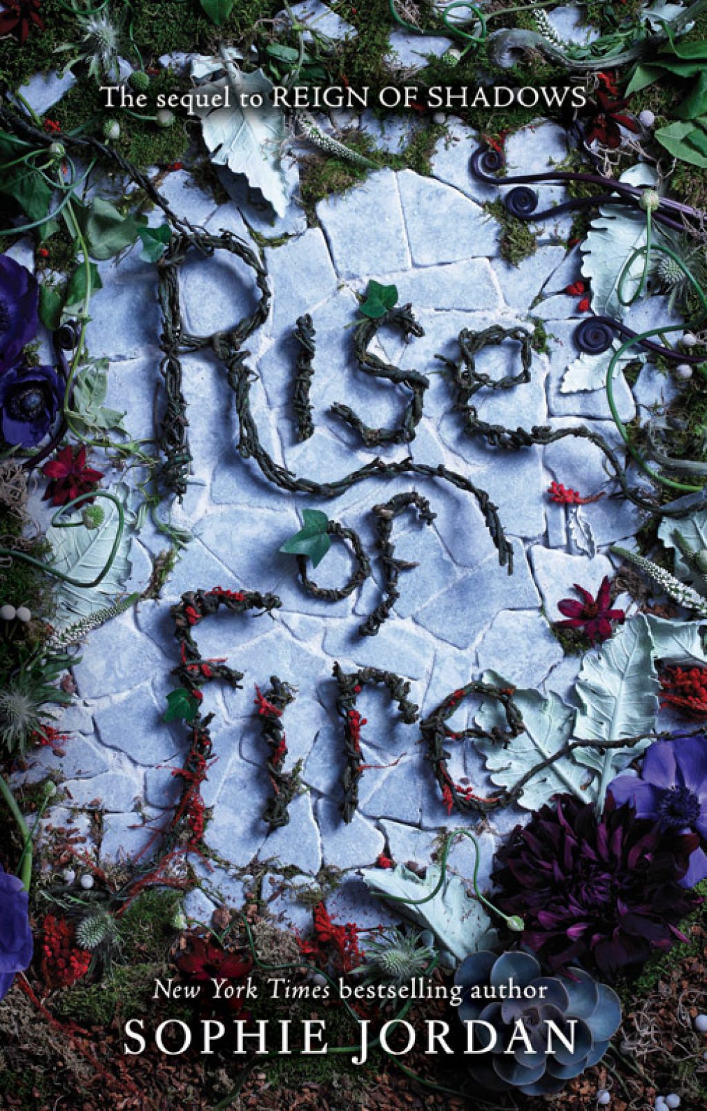 Rise of Fire eBook