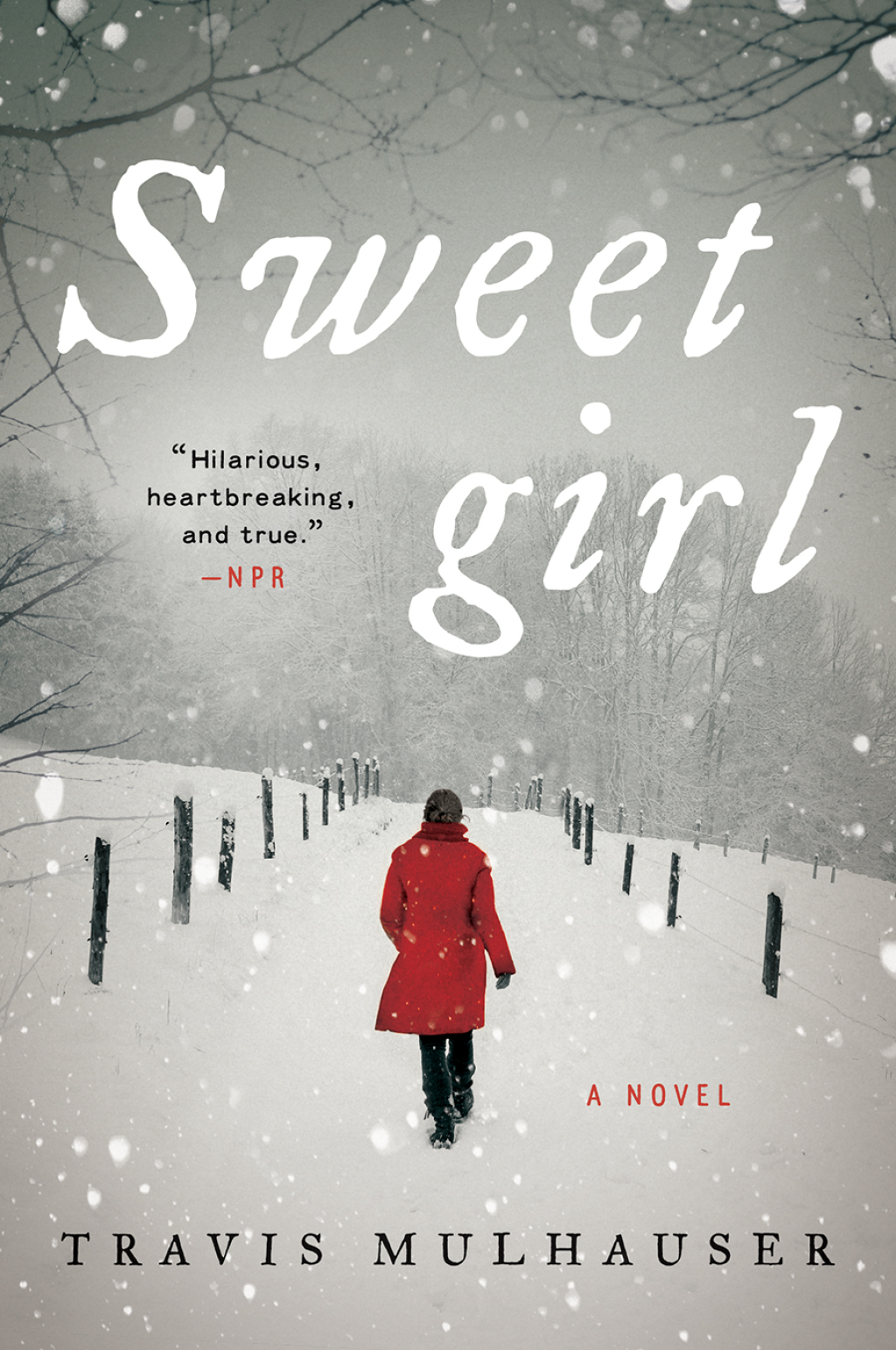 ISBN 9780062400833 product image for Sweetgirl (eBook Rental) | upcitemdb.com