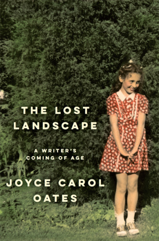 Cover image: The Lost Landscape 9780062408686